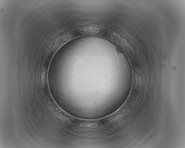 X0000085010745200703191115