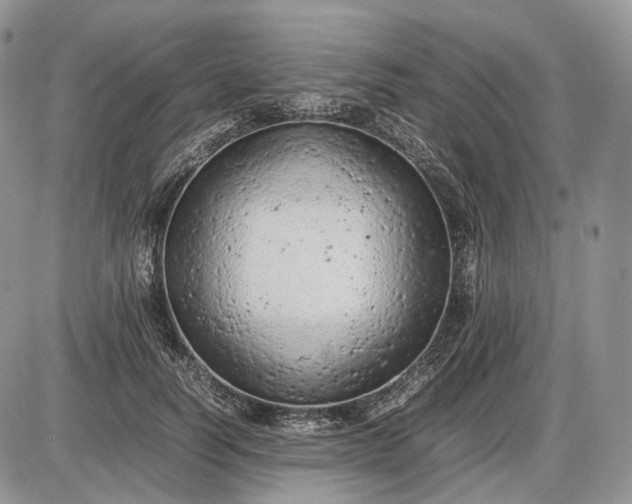 X0000085010746200703191115