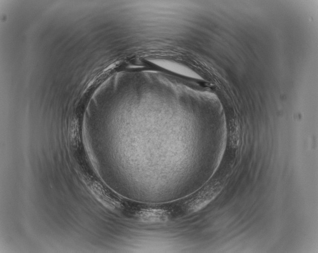 X0000085010748200703191115