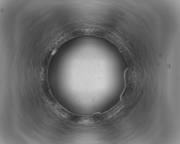 X0000085010750200703191115