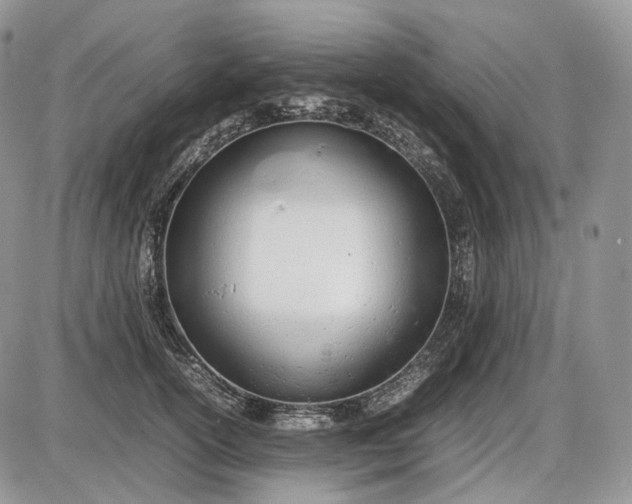 X0000085010754200703191115