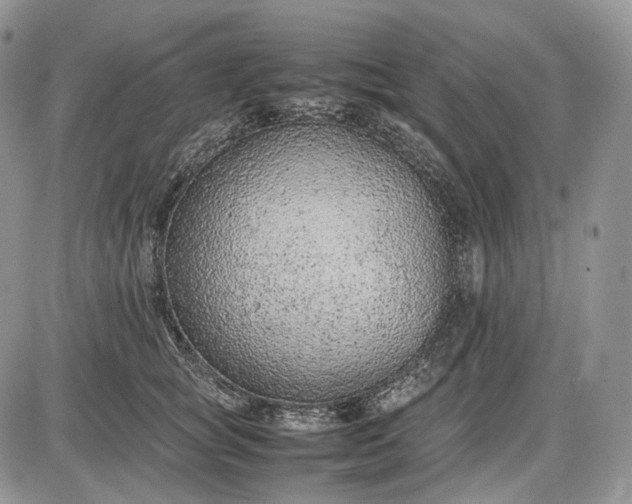 X0000085010757200703191115