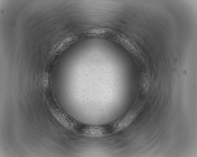 X0000085010758200703191115