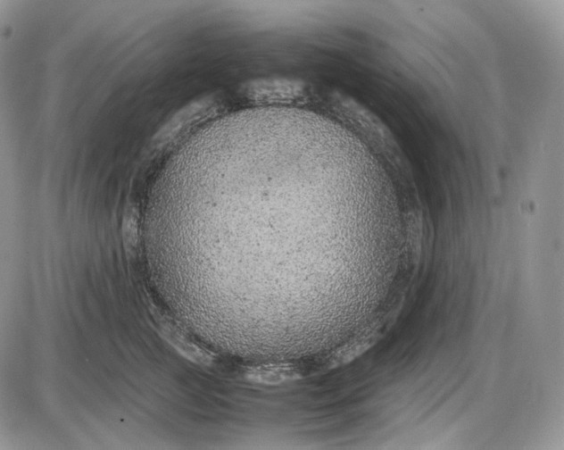X0000085010761200703191115