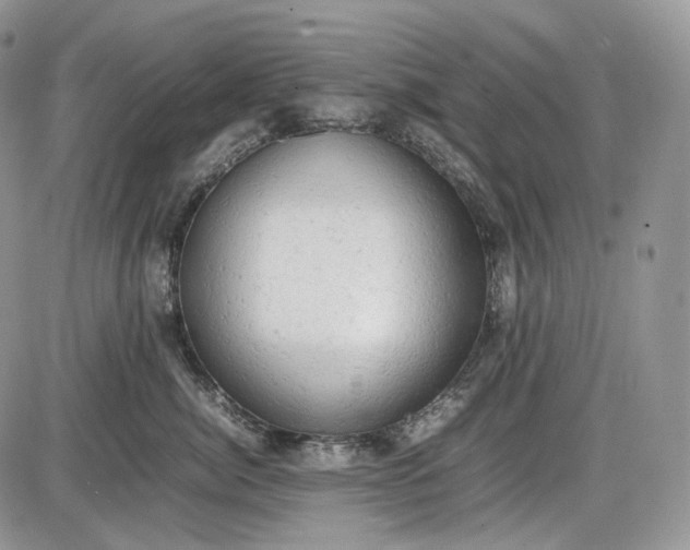 X0000085010764200703191115