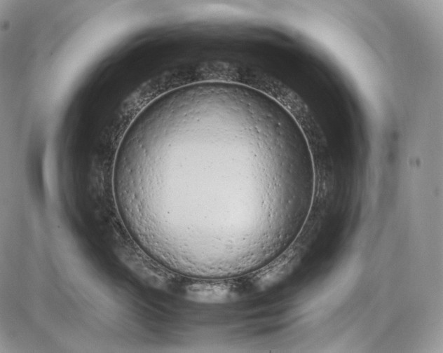 X0000085010765200703191115