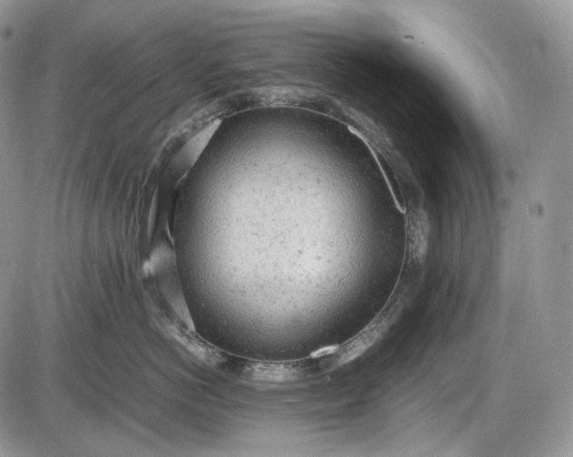 X0000085010766200703191115