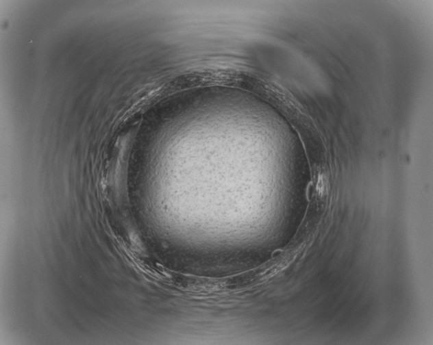 X0000085010771200703191114