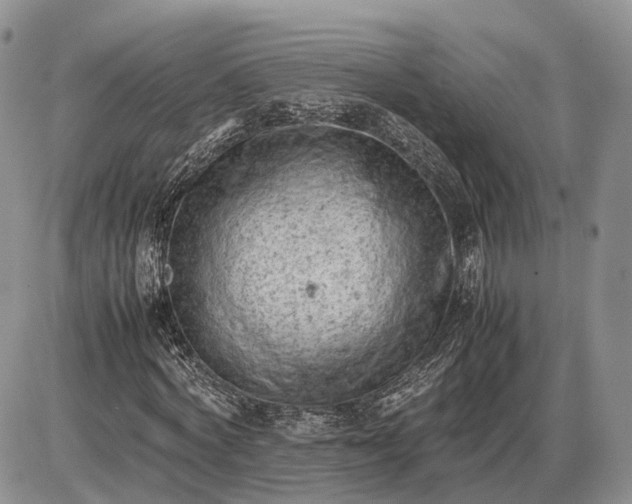 X0000085010772200703191114
