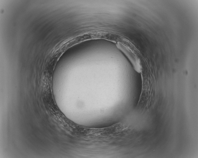 X0000085010773200703191114