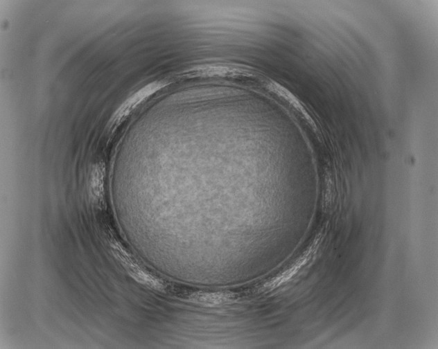 X0000085010778200703191114