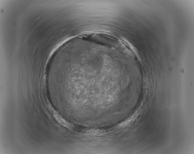X0000085010779200703191114