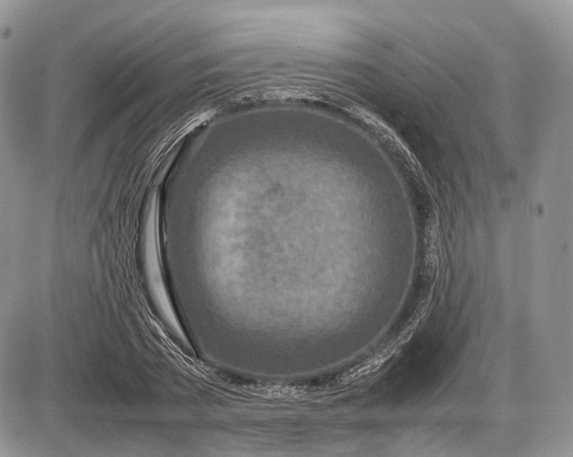 X0000085010785200703191114