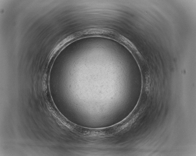 X0000085010786200703191114