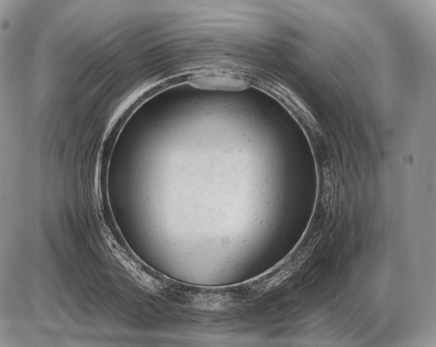 X0000085010788200703191114