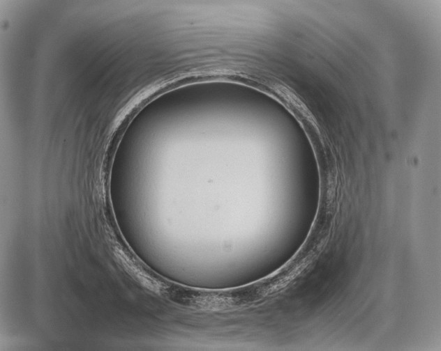 X0000085010789200703191114