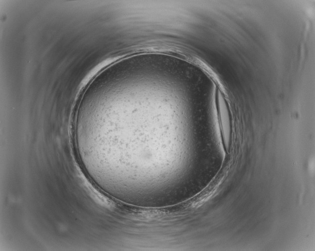 X0000085010803200703191114