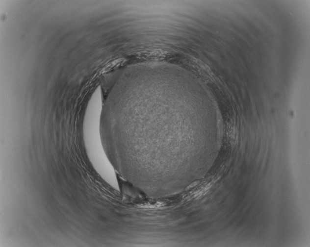 X0000085010818200703191113