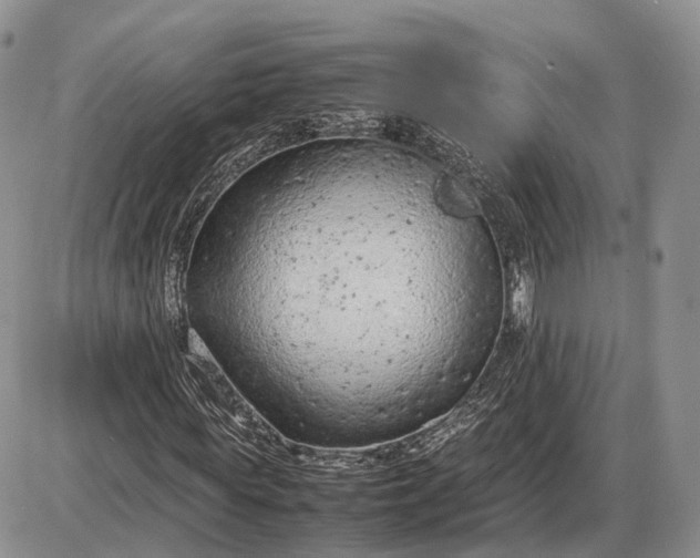 X0000085010819200703191113
