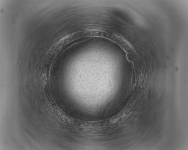 X0000085010821200703191113