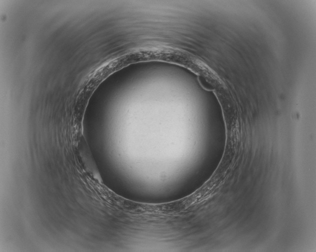 X0000085010822200703191113