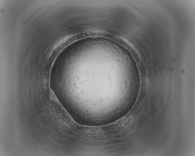 X0000085010823200703191113