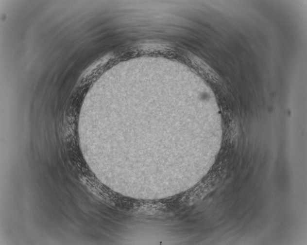X0000085010824200703191113