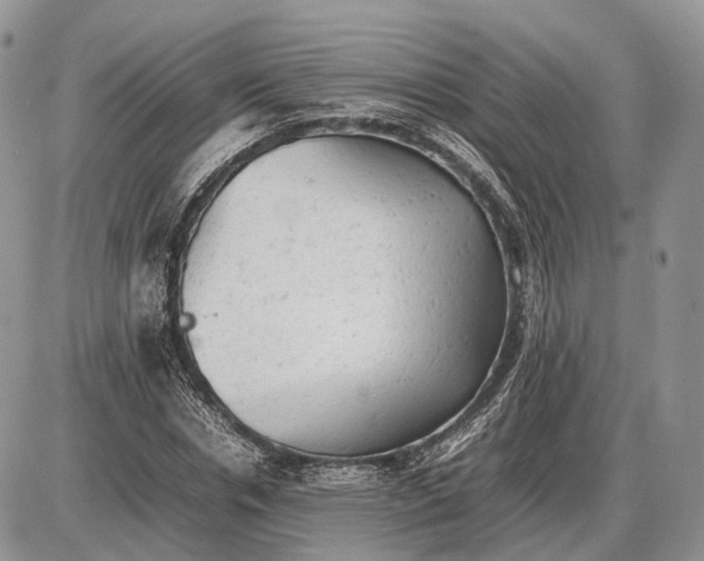 X0000085010826200703191113
