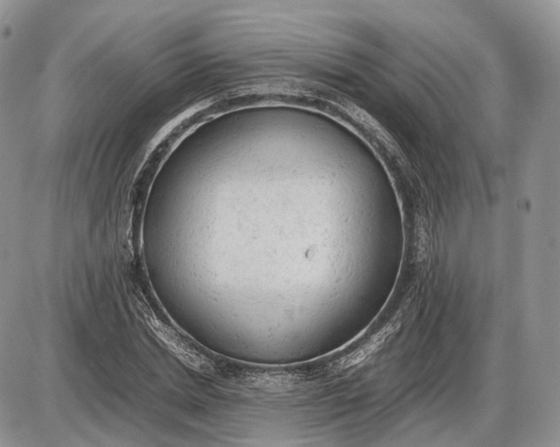 X0000085010830200703191113