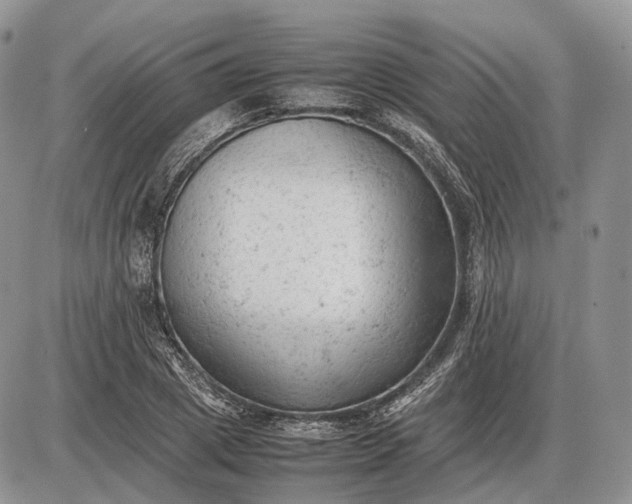 X0000085010833200703191113