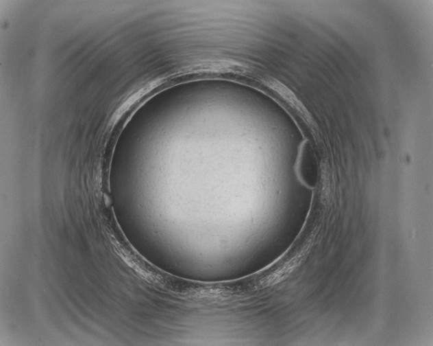 X0000085010834200703191113