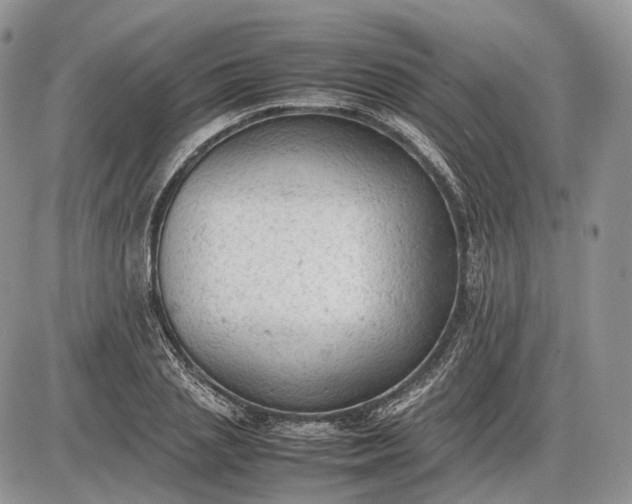 X0000085010837200703191113