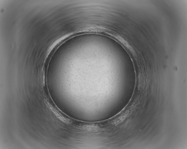 X0000085010838200703191113