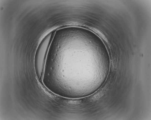 X0000085010839200703191113