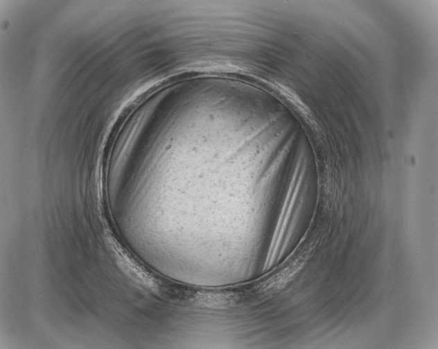 X0000085010840200703191113