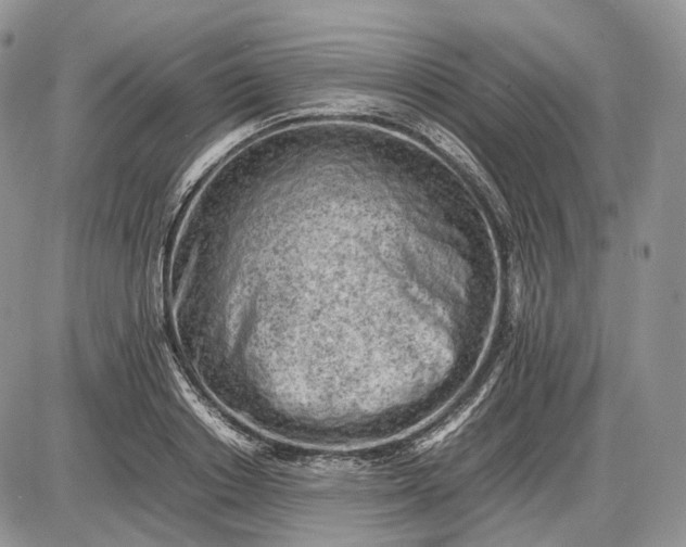 X0000085010842200703191113