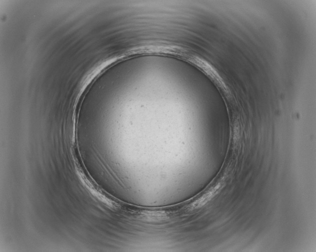 X0000085010844200703191113