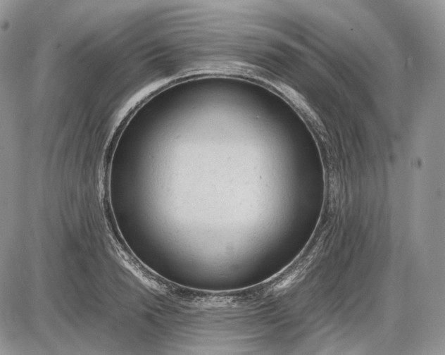 X0000085010846200703191113