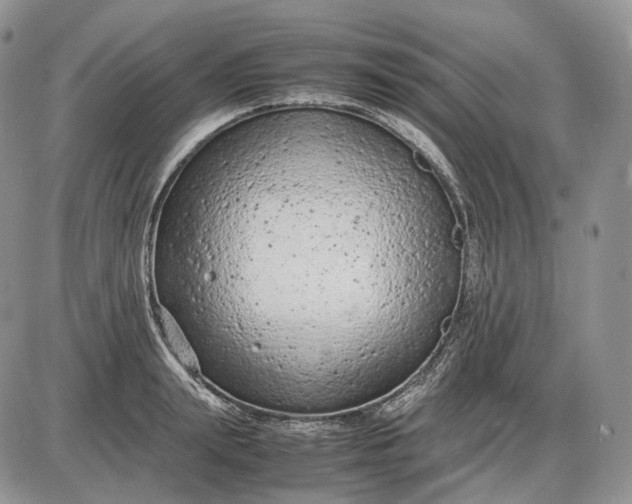 X0000085010847200703191113