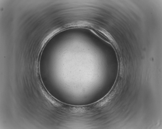 X0000085010850200703191113