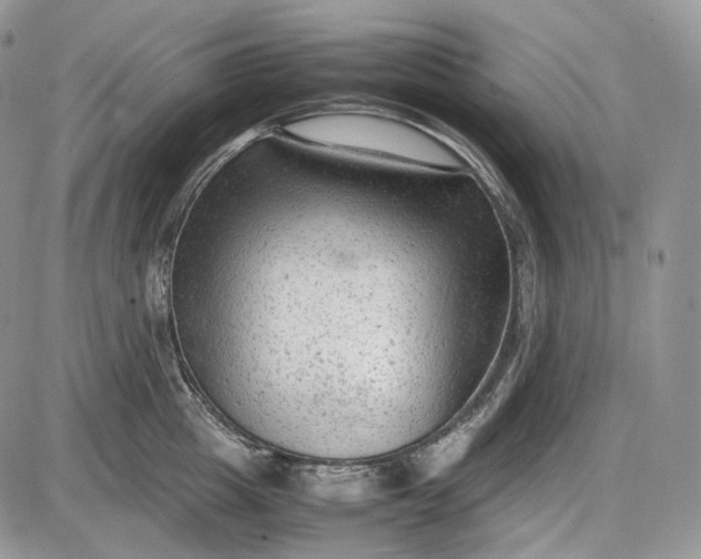 X0000085010857200703191114
