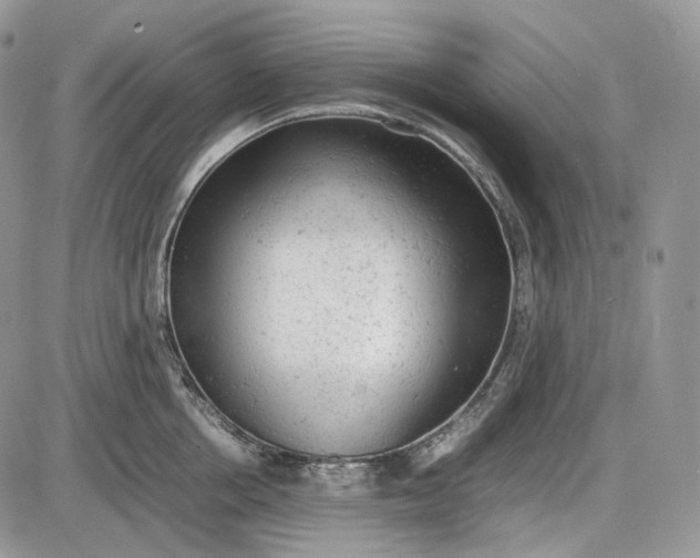 X0000085010858200703191114