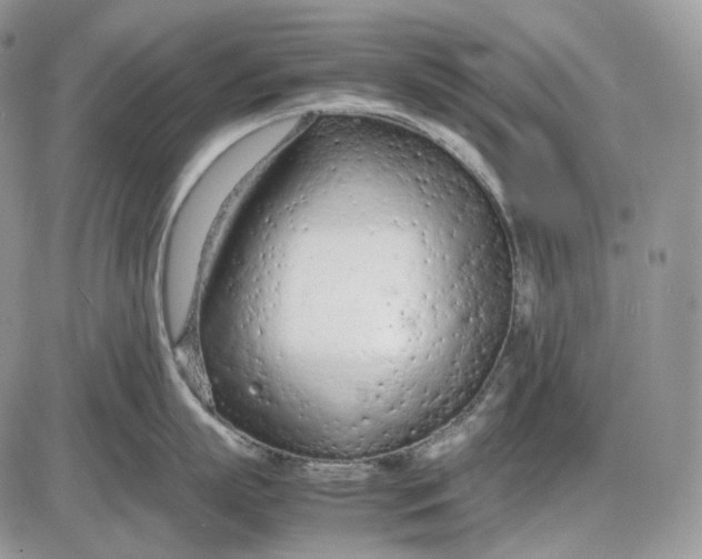 X0000085010863200703191114