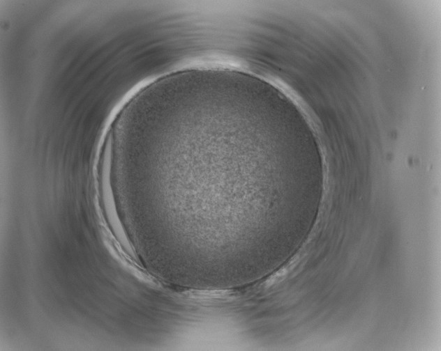 X0000085010864200703191114