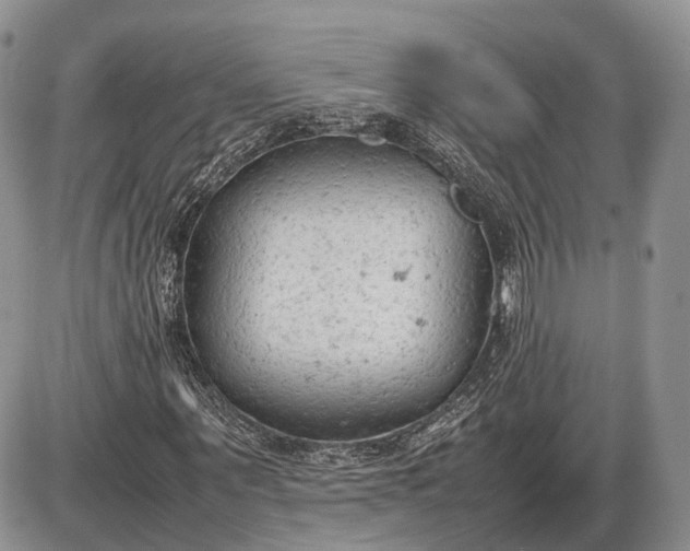 X0000085010867200703191113