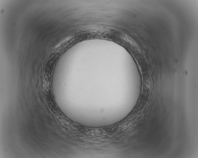 X0000085010869200703191113