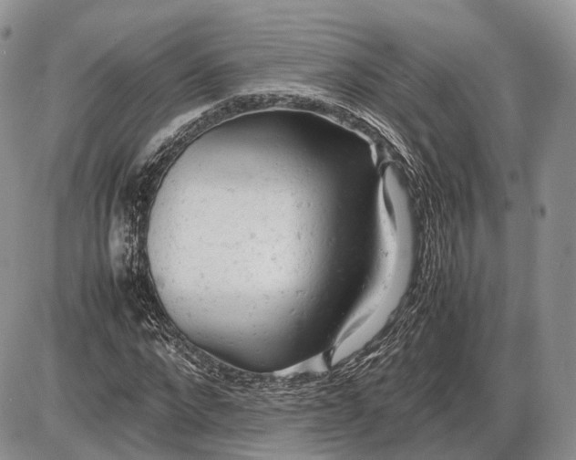 X0000085010872200703191113