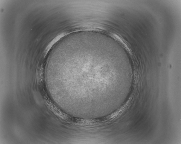 X0000085010875200703191113