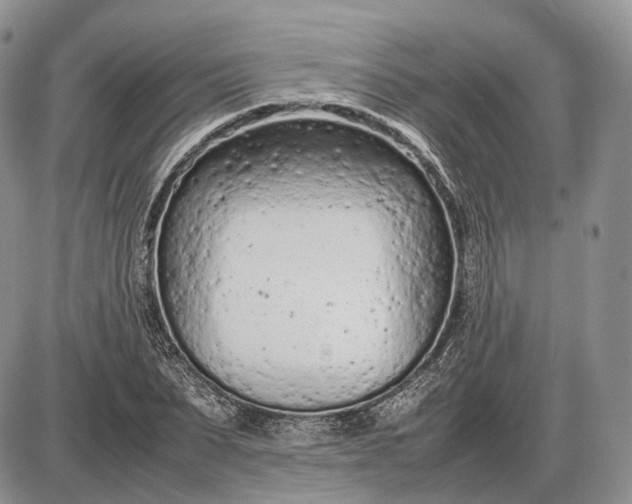 X0000085010879200703191113