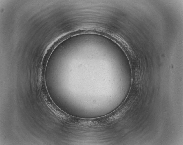 X0000085010880200703191113